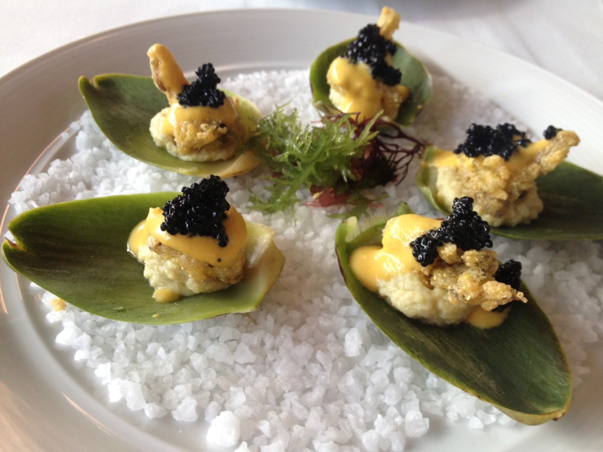 photo: the suite life