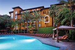 photo courtesy of the palazzo communities