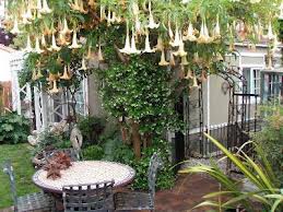 photo couresty of vrbo