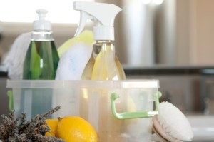 eco friendly cleaning products